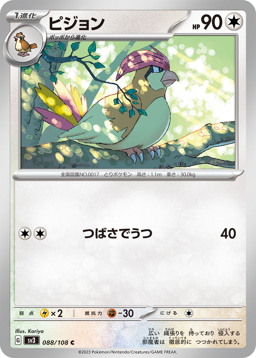 ピジョン 【SV3 088/108】